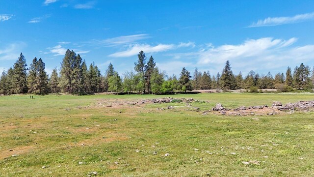 14414 S Stangland Rd, Cheney, WA 99004 - photo 38