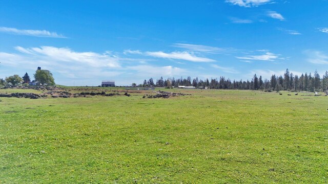 14414 S Stangland Rd, Cheney, WA 99004 - photo 39