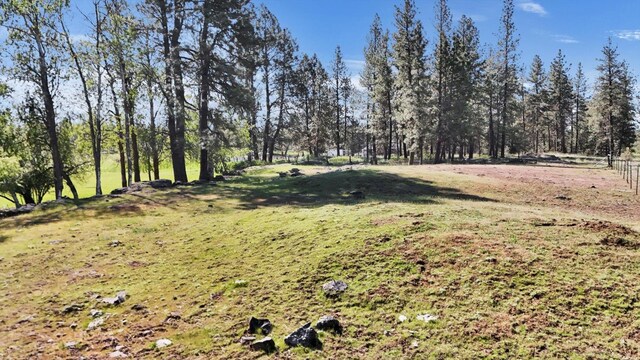 14414 S Stangland Rd, Cheney, WA 99004 - photo 40