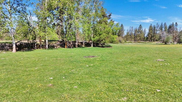 14414 S Stangland Rd, Cheney, WA 99004 - photo 41