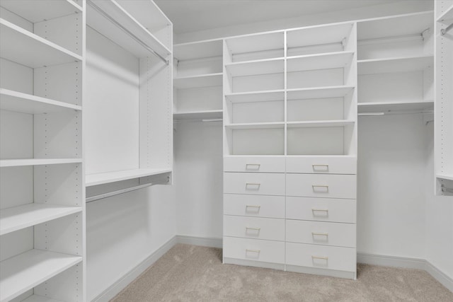 1399 W Findley Ln, Deer Park, WA 99006 - walk in closet with light colored carpet