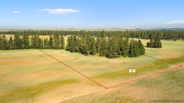 TBD S Christensen Rd Unit 2, 3, 6, 7, 10, 11, Medical Lake, WA 99022 - photo 11