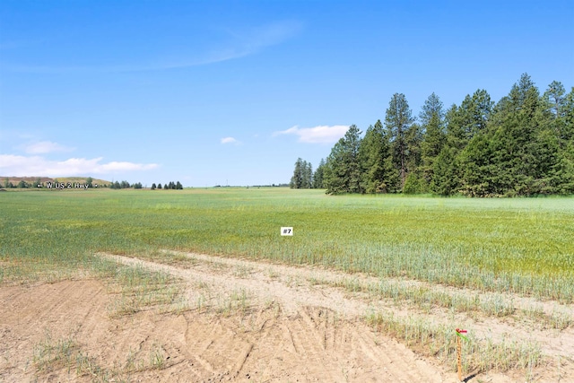 TBD S Christensen Rd Unit 2, 3, 6, 7, 10, 11, Medical Lake, WA 99022 - photo 10