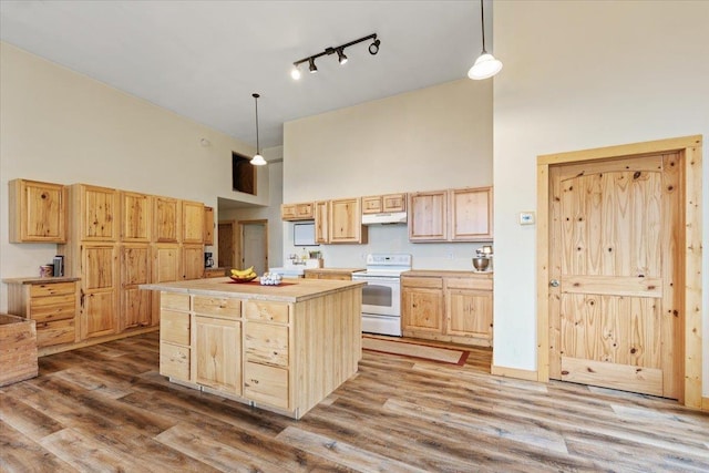 2559F United Copper Mine Rd, Chewelah, WA 99109 - kitchen with electric range, a high ceiling, under cabinet range hood, light brown cabinets, and rail lighting