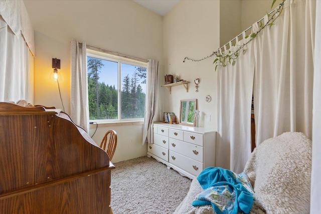2559F United Copper Mine Rd, Chewelah, WA 99109 - bedroom featuring carpet floors