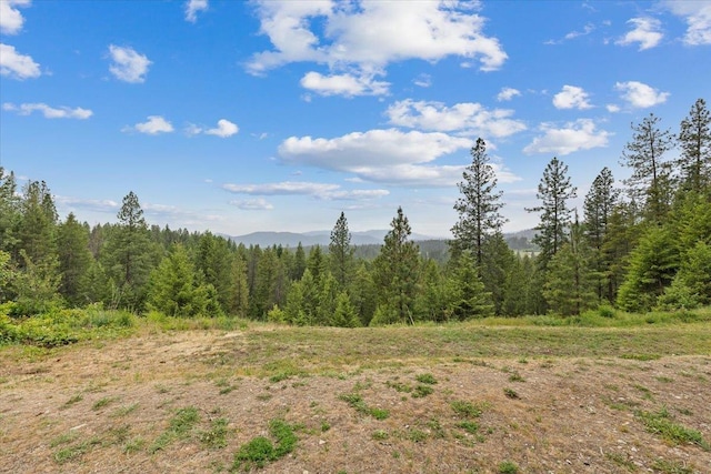 2559F United Copper Mine Rd, Chewelah, WA 99109 - view of woods featuring a mountain view