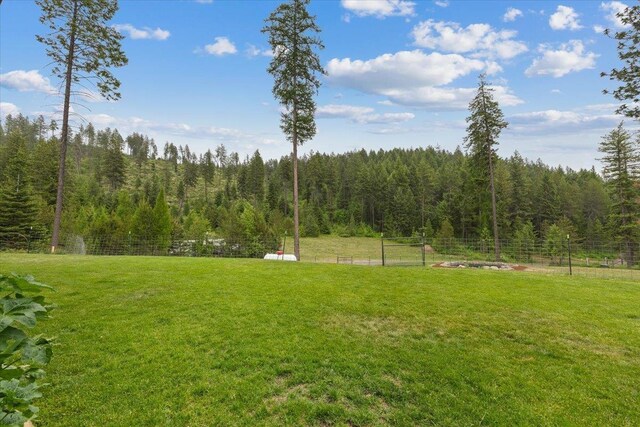 2559F United Copper Mine Rd, Chewelah, WA 99109 - view of yard with a view of trees