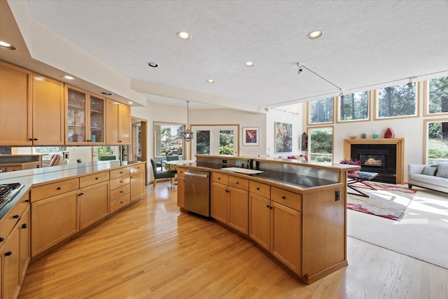 14410 E 45th Ct, Veradale, WA 99037 - kitchen featuring stainless steel dishwasher, light wood-style flooring, recessed lighting, a glass covered fireplace, and open floor plan