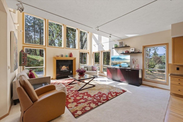 14410 E 45th Ct, Veradale, WA 99037 - living area featuring track lighting, a textured ceiling, and a glass covered fireplace