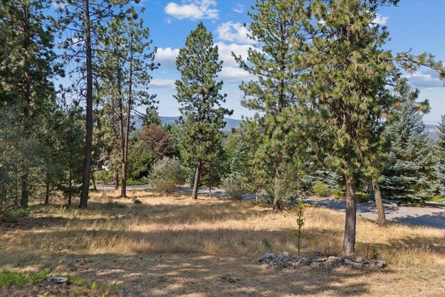 14410 E 45th Ct, Veradale, WA 99037 - view of nature