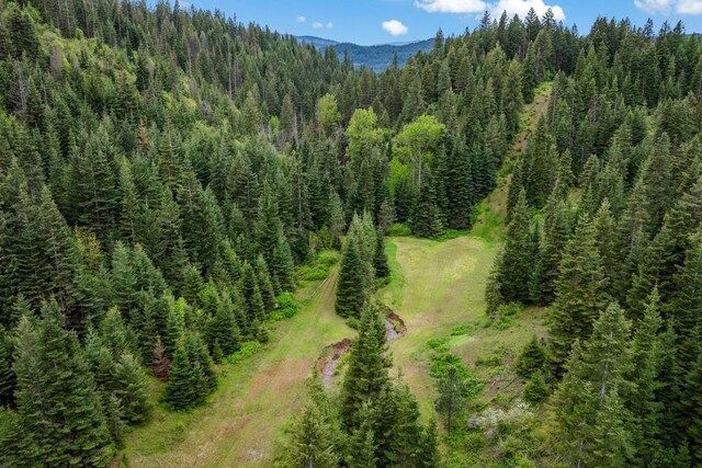 4165 S Varnum Pr, Coeur D Alene, ID 83814 - bird's eye view of a forest and mountains