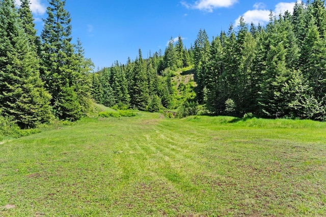 4165 S Varnum Pr, Coeur D Alene, ID 83814 - view of yard with a wooded view