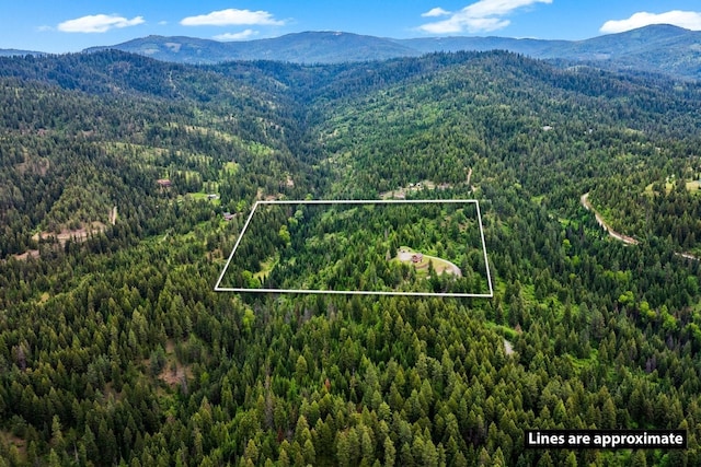 4165 S Varnum Pr, Coeur D Alene, ID 83814 - aerial view of property's location featuring a forest, a mountain backdrop, and property parcel outlined