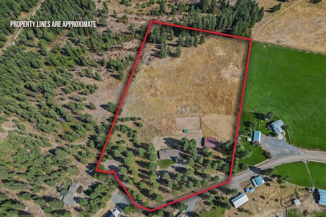 572 Geesaman Rd, Colville, WA 99114 - photo 5