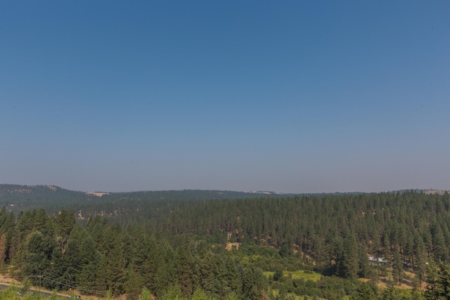 207 E Wandermere Heights Ln, Spokane, WA 99208 - mountain view with a forest