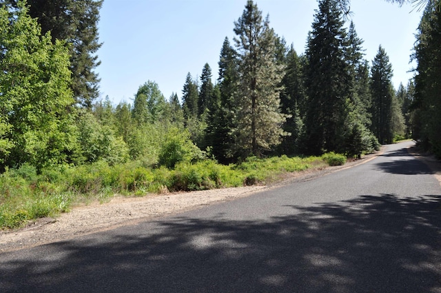 346XX N Regal Ln, Deer Park, WA 99006 - photo 1