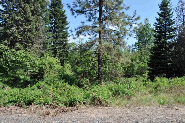 346XX N Regal Ln, Deer Park, WA 99006 - photo 12