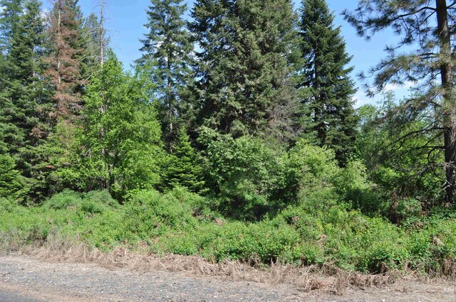 346XX N Regal Ln, Deer Park, WA 99006 - photo 14