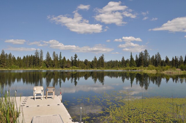 346XX N Regal Ln, Deer Park, WA 99006 - photo 26