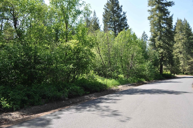 346XX N Regal Ln, Deer Park, WA 99006 - photo 4