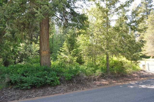 346XX N Regal Ln, Deer Park, WA 99006 - photo 5