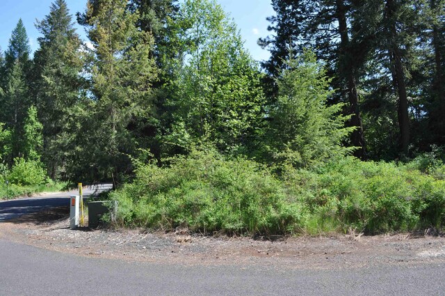 346XX N Regal Ln, Deer Park, WA 99006 - photo 6