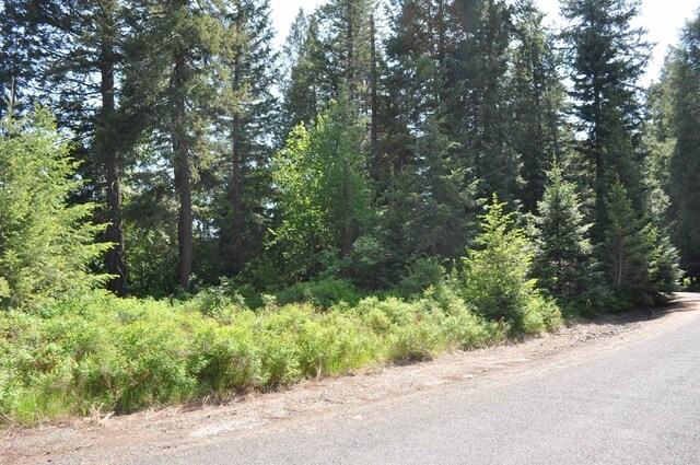 346XX N Regal Ln, Deer Park, WA 99006 - photo 8