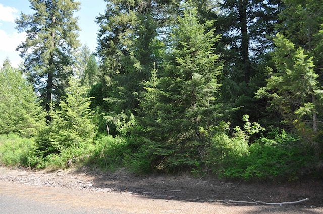 346XX N Regal Ln, Deer Park, WA 99006 - photo 9