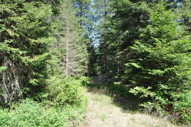 346XX N Regal Ln, Deer Park, WA 99006 - photo 10