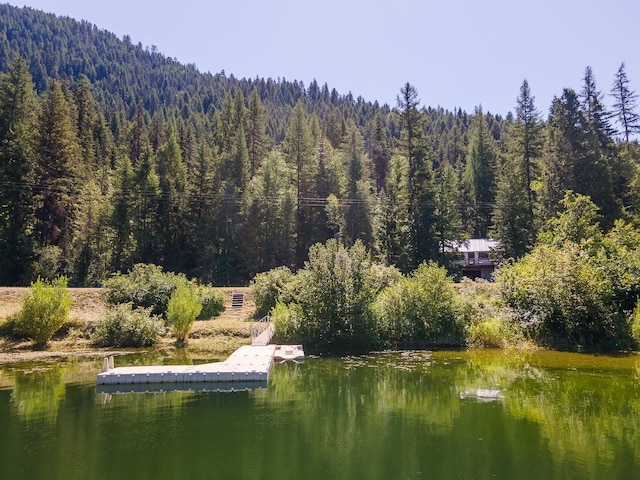 2948 Deep Lake Boundary Rd, Colville, WA 99114 - water view featuring a forest