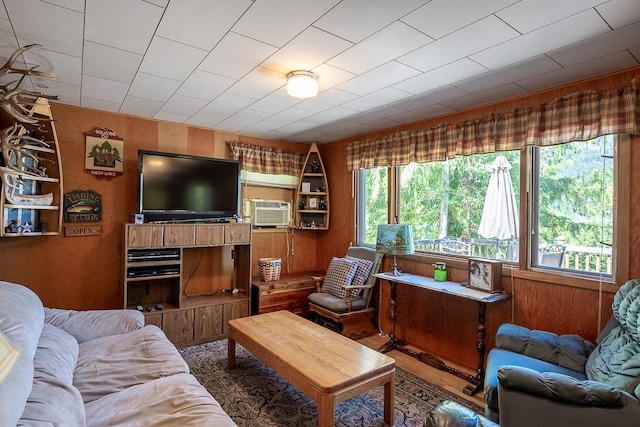 2948 Deep Lake Boundary Rd, Colville, WA 99114 - living area with wood walls