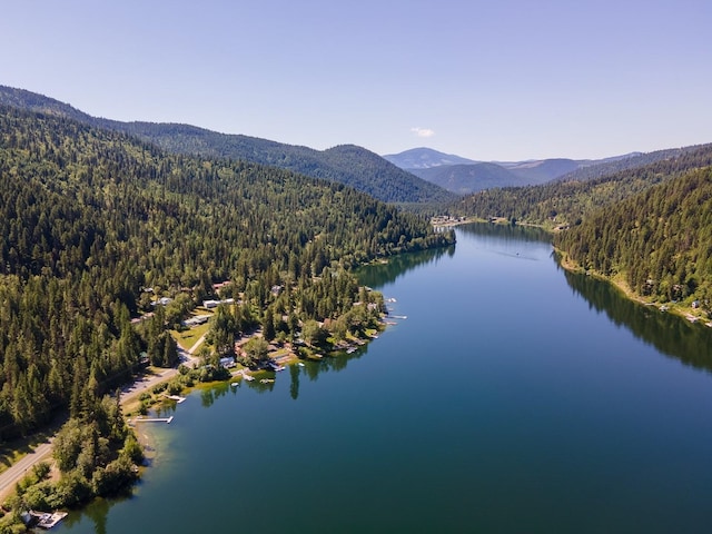 2948 Deep Lake Boundary Rd, Colville, WA 99114 - bird's eye view of a heavily wooded area and a water and mountain view
