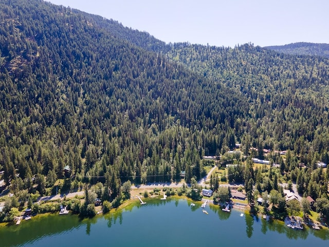 2948 Deep Lake Boundary Rd, Colville, WA 99114 - bird's eye view of a heavily wooded area and a water and mountain view