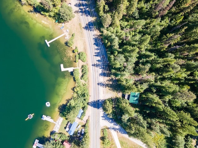 2948 Deep Lake Boundary Rd, Colville, WA 99114 - drone / aerial view of a nearby body of water