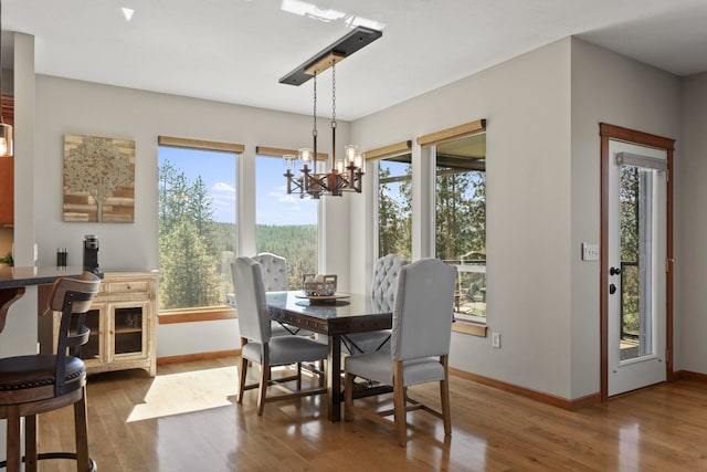 6595D Lois Way, Nine Mile Falls, WA 99026 - dining room featuring a chandelier, baseboards, wood finished floors, and healthy amount of natural light