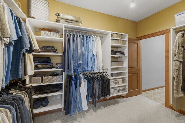 6595D Lois Way, Nine Mile Falls, WA 99026 - spacious closet with carpet