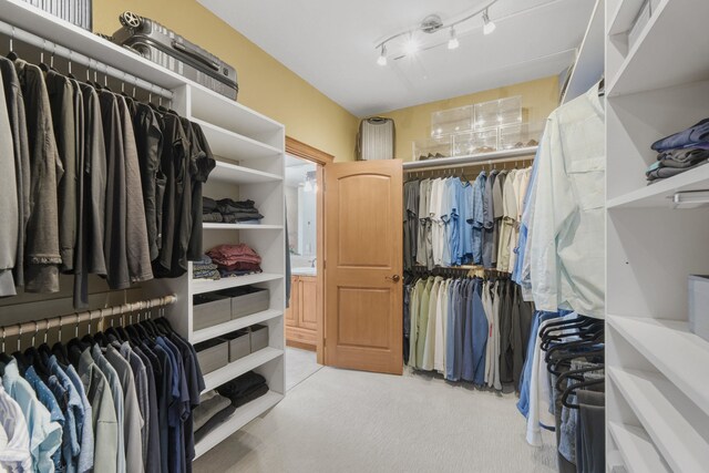 6595D Lois Way, Nine Mile Falls, WA 99026 - walk in closet featuring carpet flooring