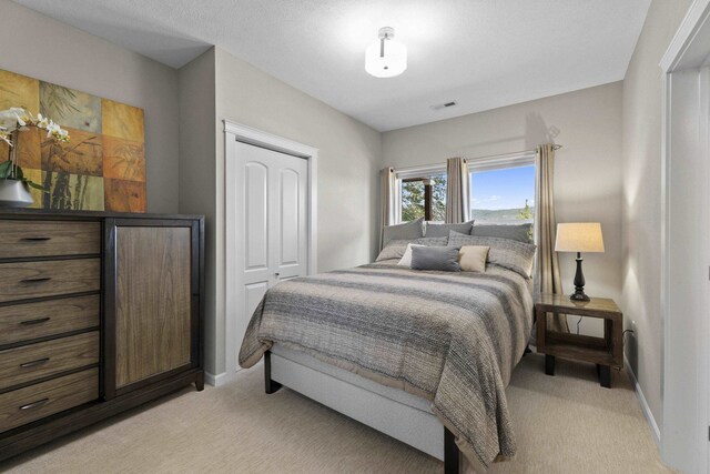 6595D Lois Way, Nine Mile Falls, WA 99026 - bedroom with light colored carpet and baseboards
