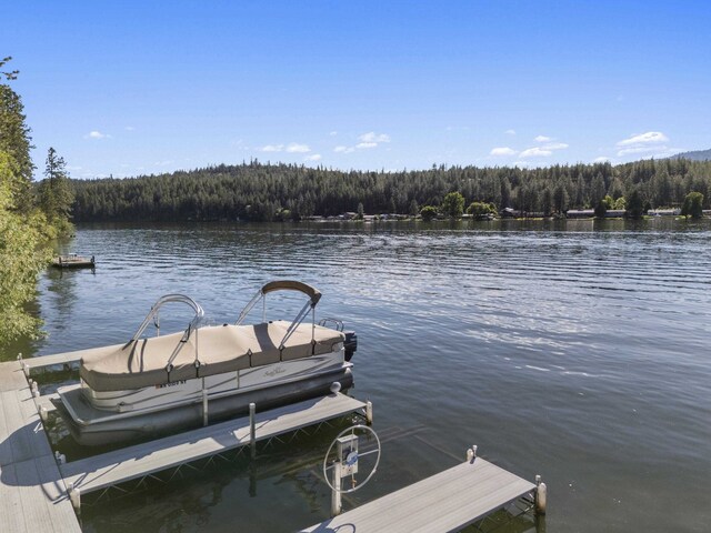 6595D Lois Way, Nine Mile Falls, WA 99026 - dock with a view of trees and a water view
