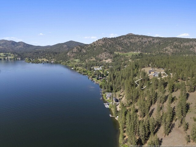 6595D Lois Way, Nine Mile Falls, WA 99026 - water view with a mountain backdrop and a heavily wooded area
