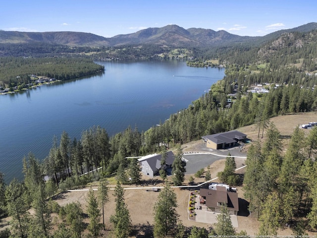 6595D Lois Way, Nine Mile Falls, WA 99026 - drone / aerial view of a forest and a water and mountain view