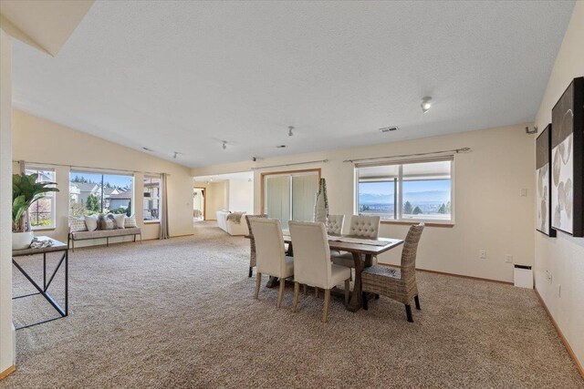 8626 E Sugar Pine Ln, Spokane, WA 99217 - dining space with carpet flooring, plenty of natural light, baseboards, a textured ceiling, and vaulted ceiling