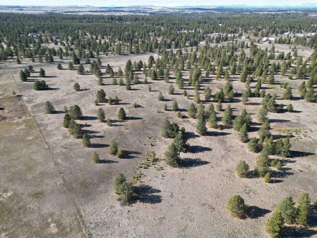 4XX N Dover Rd, Medical Lake, WA 99022 - photo 13