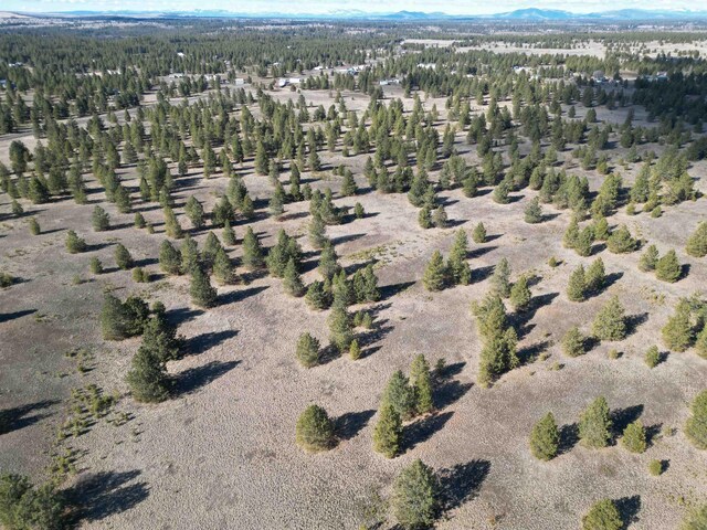 4XX N Dover Rd, Medical Lake, WA 99022 - photo 14