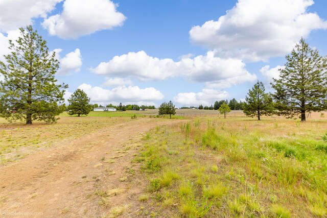 223 S Wheatland St, Medical Lake, WA 99022 - photo 34