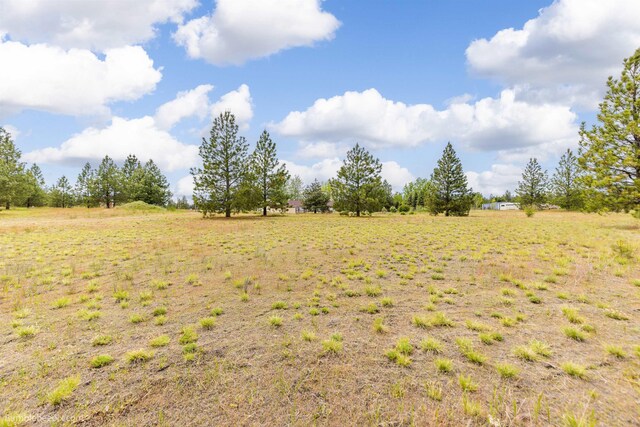 223 S Wheatland St, Medical Lake, WA 99022 - photo 35