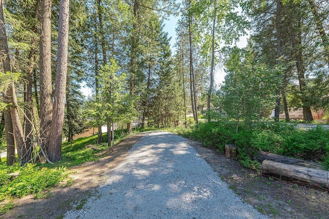 535 W Ash St, Newport, WA 99156 - photo 42