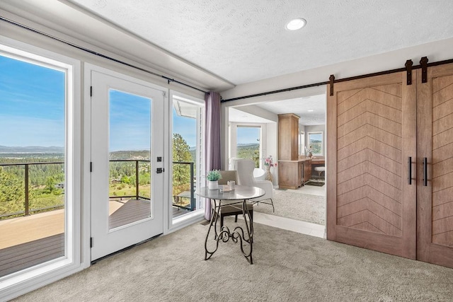 10409 E Grouse Mountain Ln, Spokane, WA 99206 - sunroom / solarium featuring a barn door