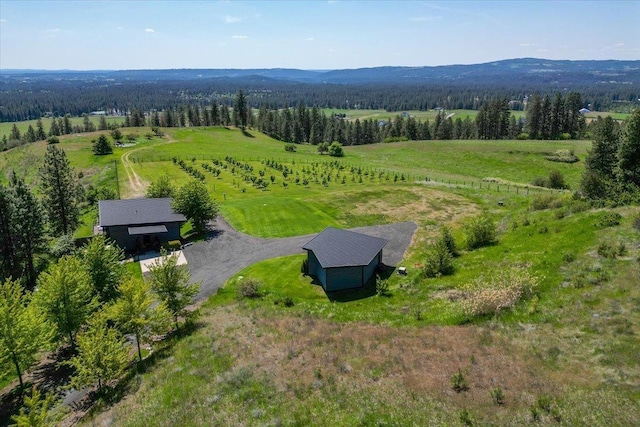 17323 N Lower Greenbluff Rd, Colbert, WA 99005 - overview of rural landscape with a heavily wooded area and a mountainous background
