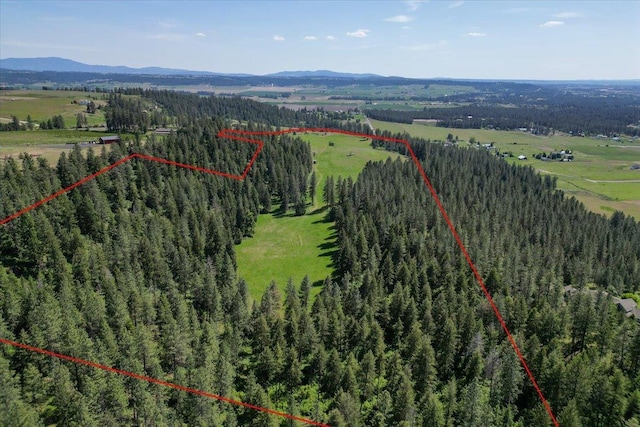 17323 N Lower Greenbluff Rd, Colbert, WA 99005 - aerial view of property and surrounding area with property boundaries highlighted, mountains, and a forest